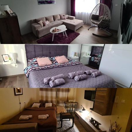 Grey & Sunny Apartments Зайечар Екстериор снимка
