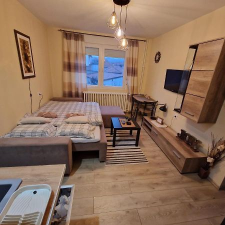 Grey & Sunny Apartments Зайечар Екстериор снимка