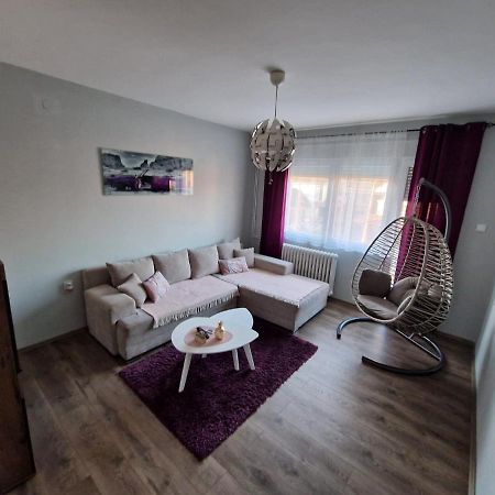 Grey & Sunny Apartments Зайечар Екстериор снимка