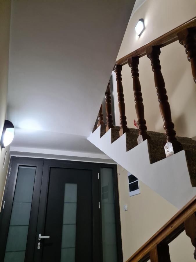 Grey & Sunny Apartments Зайечар Екстериор снимка