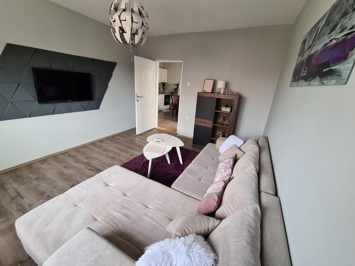 Grey & Sunny Apartments Зайечар Екстериор снимка