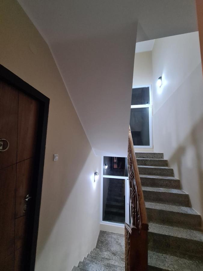 Grey & Sunny Apartments Зайечар Екстериор снимка