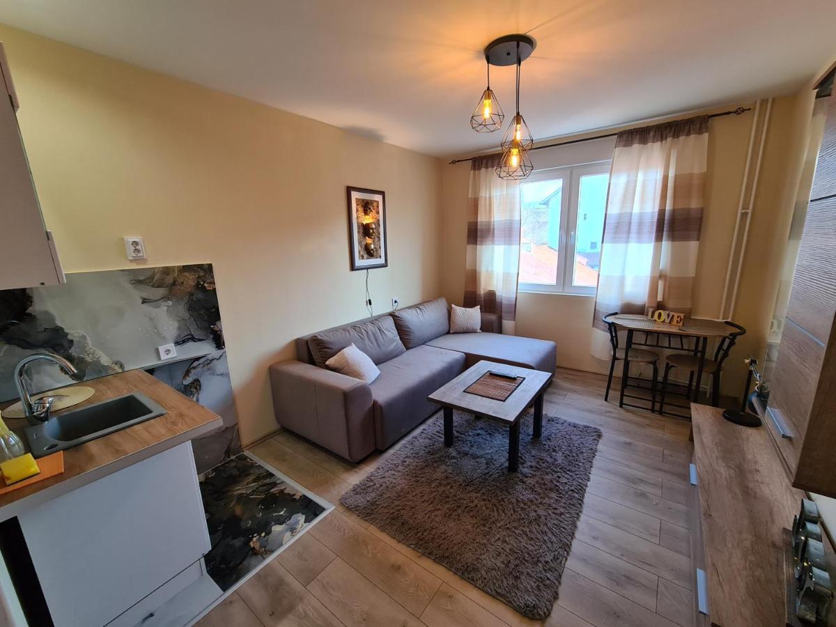 Grey & Sunny Apartments Зайечар Екстериор снимка