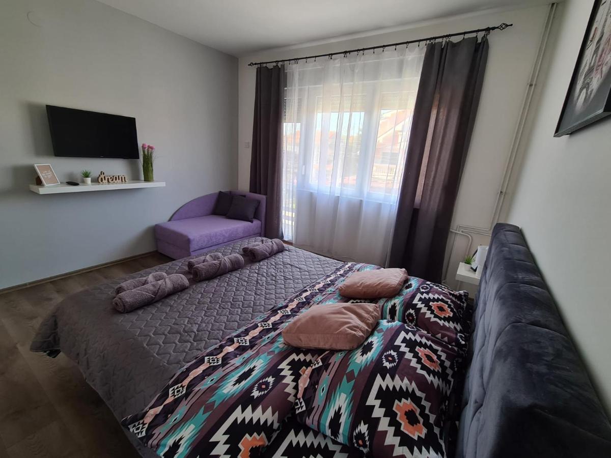 Grey & Sunny Apartments Зайечар Екстериор снимка