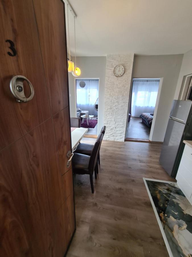 Grey & Sunny Apartments Зайечар Екстериор снимка