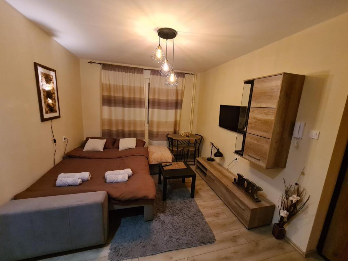 Grey & Sunny Apartments Зайечар Екстериор снимка