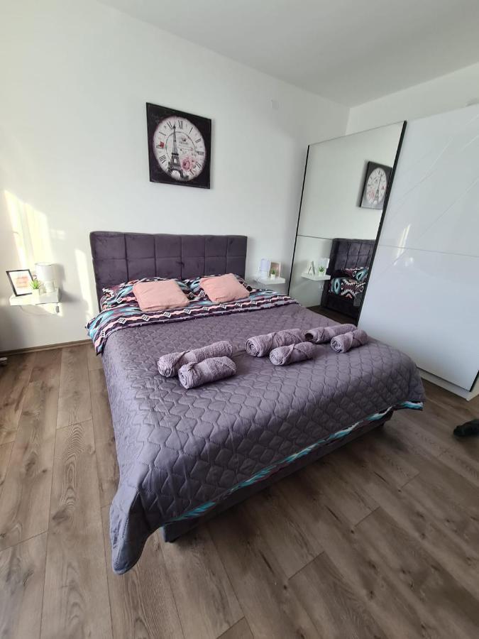 Grey & Sunny Apartments Зайечар Екстериор снимка