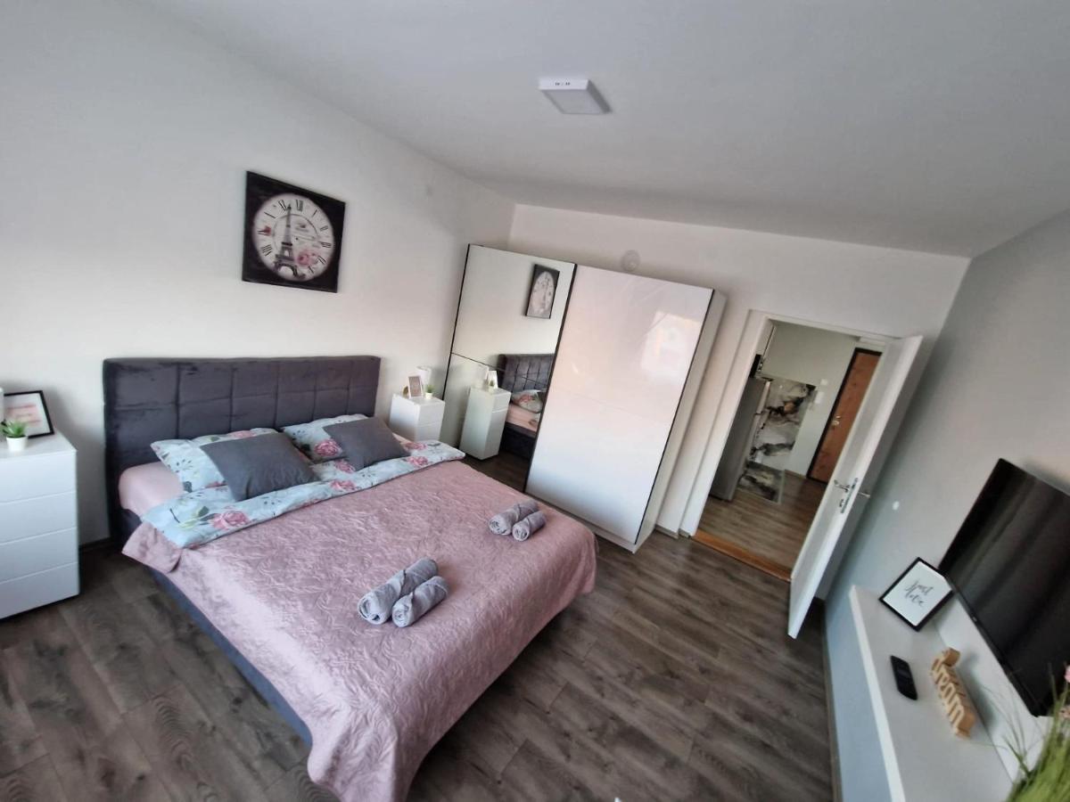Grey & Sunny Apartments Зайечар Екстериор снимка