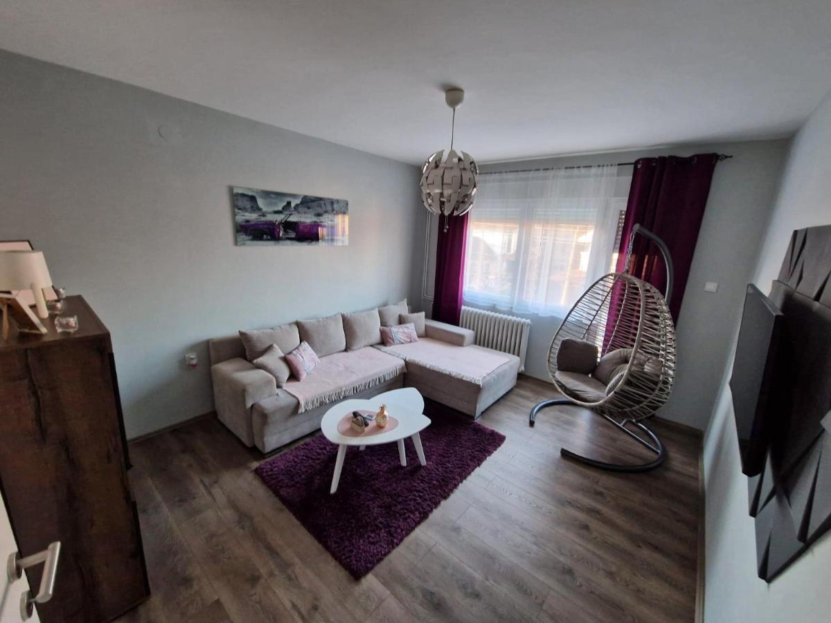 Grey & Sunny Apartments Зайечар Екстериор снимка