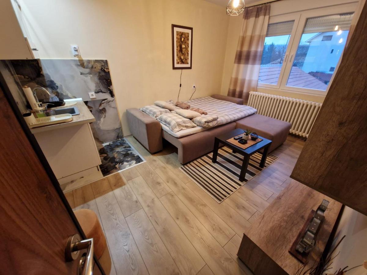 Grey & Sunny Apartments Зайечар Екстериор снимка